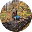 Mary M. profile picture